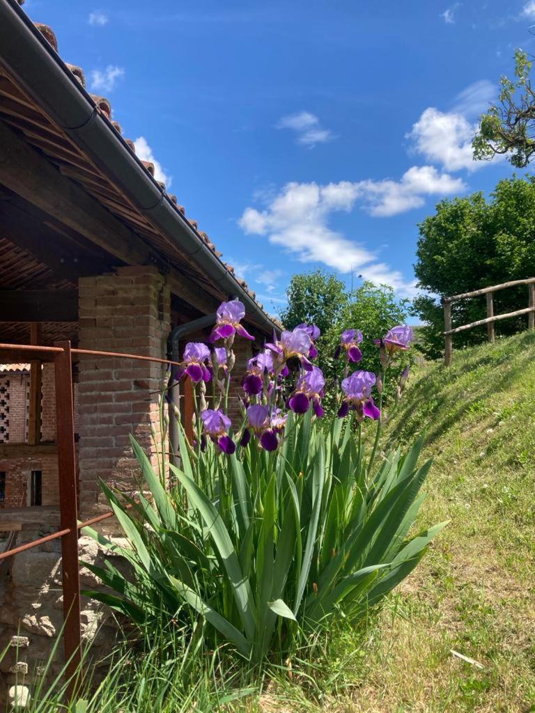 Bed and Breakfast Casa Dormiveglia Montaldo Bormida Exterior foto